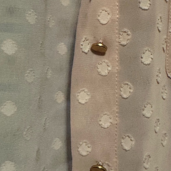 A New Day Sheer Blush Polka Dot Button Up Blouse - Picture 5 of 6